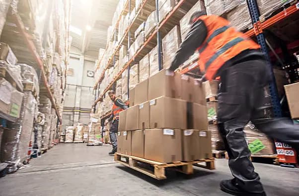 fungsi distributor