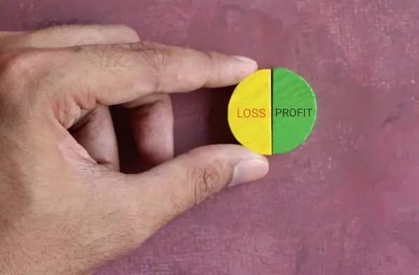 4. Kesenjangan Antara Modal dan Laba