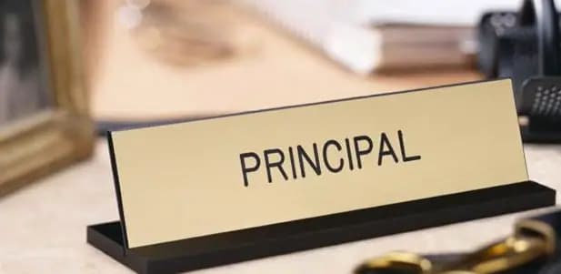 Fungsi Dan Peran Principal