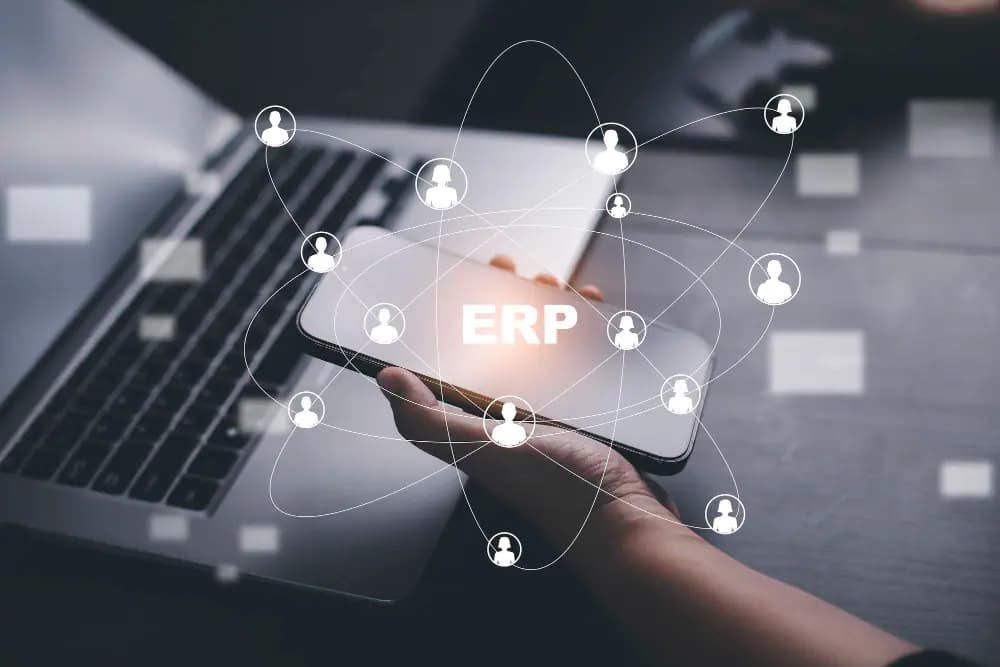 Jenis-Jenis Sistem ERP