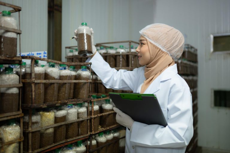 Apa itu Produsen? Pahami Arti, Peran, dan Bidangnya Distri